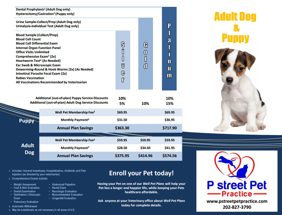 Pet Insurance P Street Pet Practice P Street Pet Practice