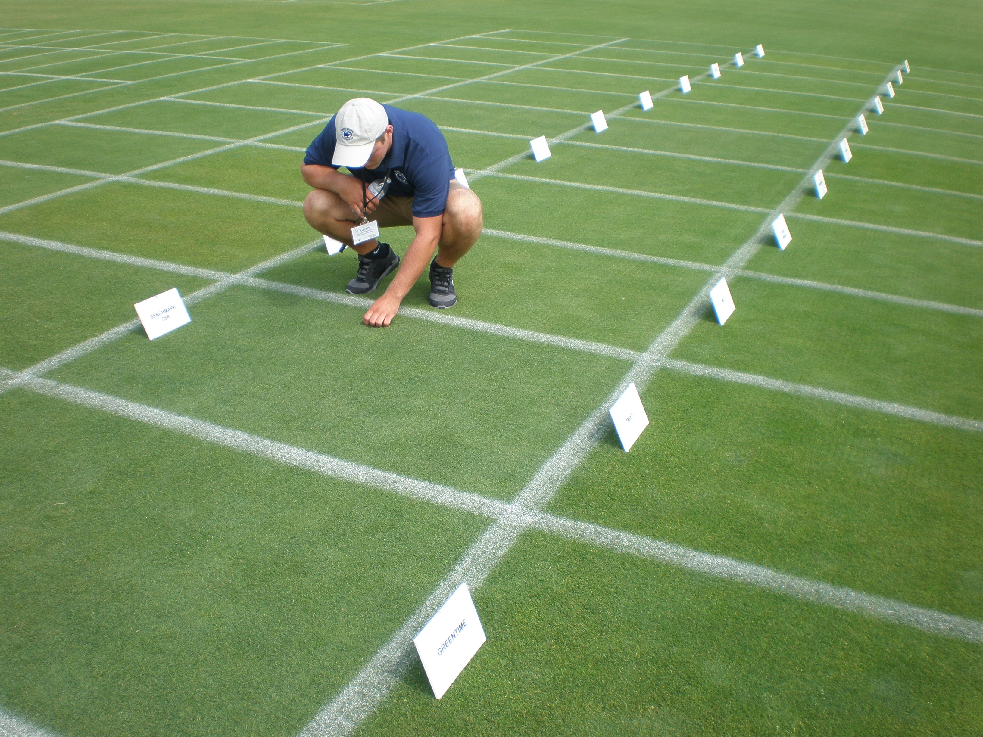 Field Days 2014 a Success Penn State Turfgrass