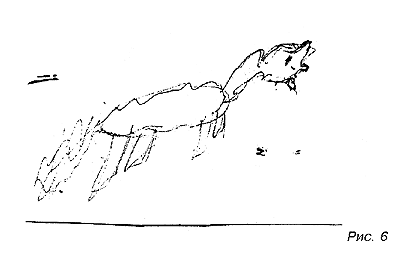 нарисовать несуществующее животное тест по психологии фсб