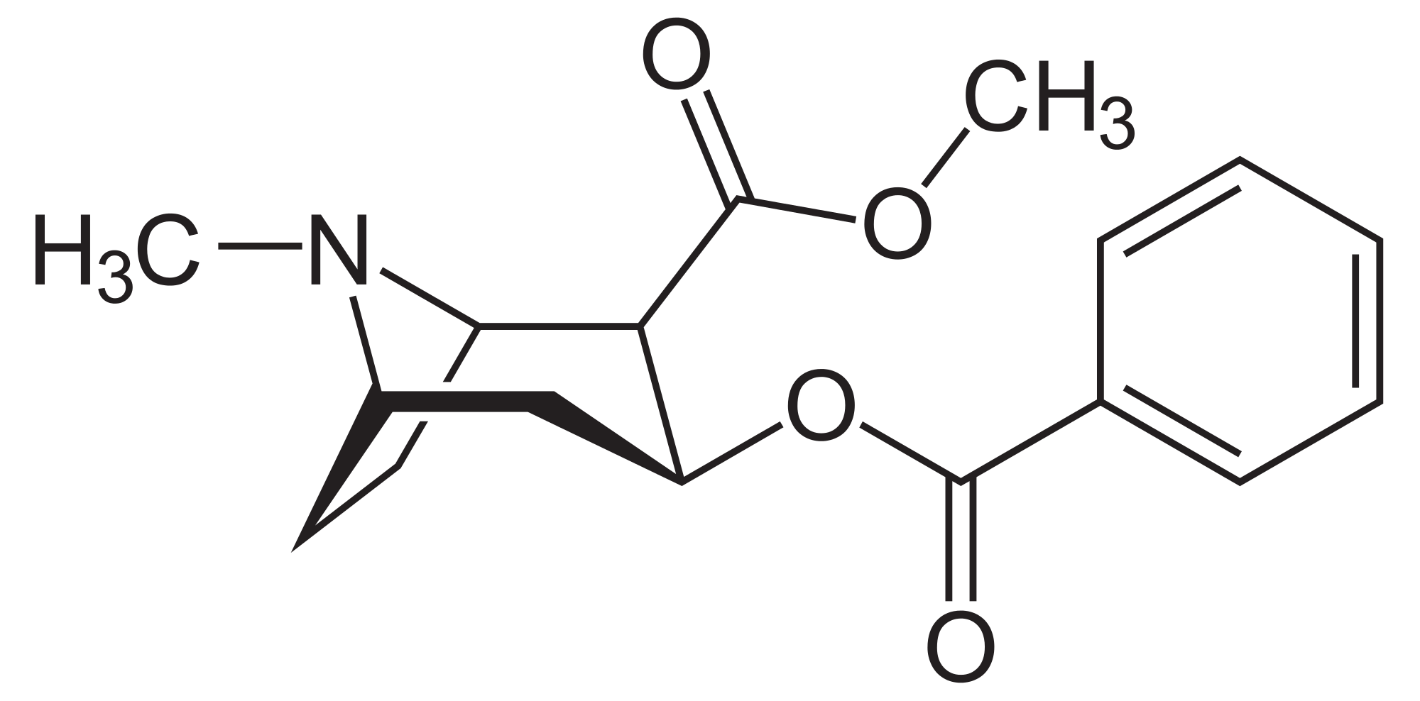 7 images of Drug Molecules and What They Can Teach Us (Without Knowing
