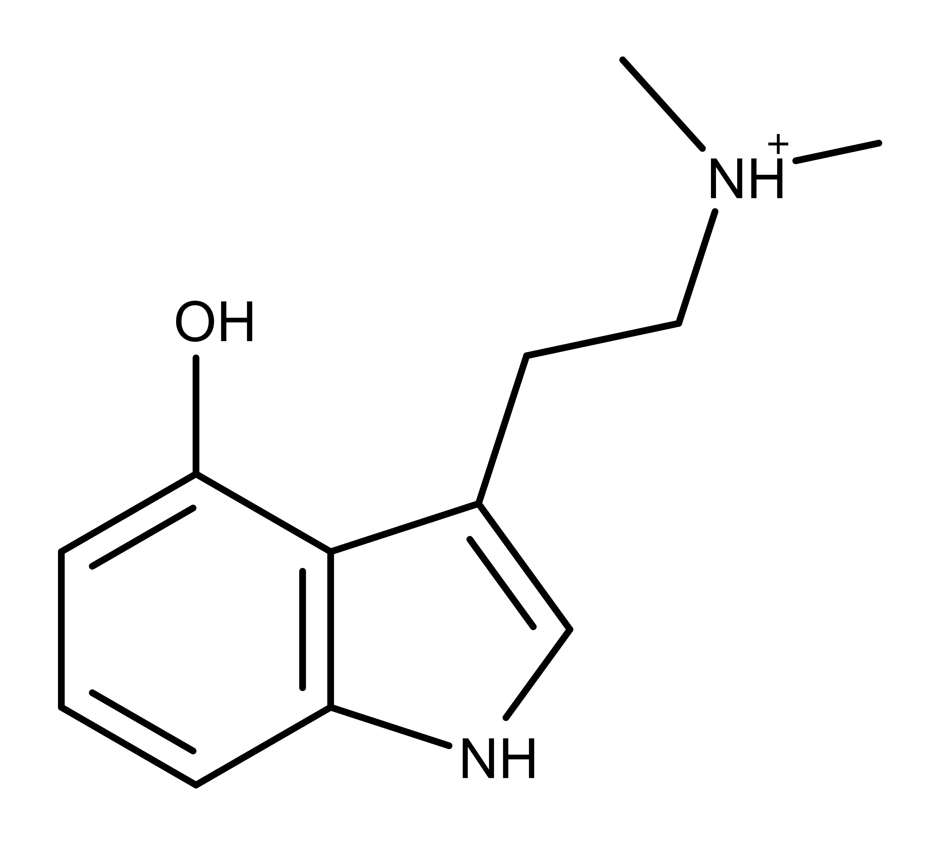 Norpsilocin A Newly Discovered Psilocybin Derivative