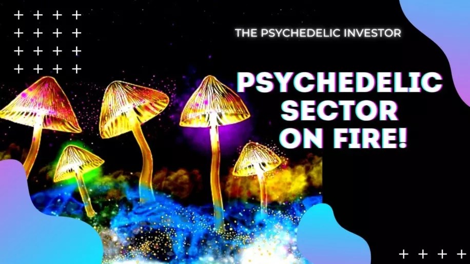 Top 5 PSYCHEDELIC STOCKS to buy in 2021 (MMEDF, NUMI, RVV, FTRP, CMPS🔥