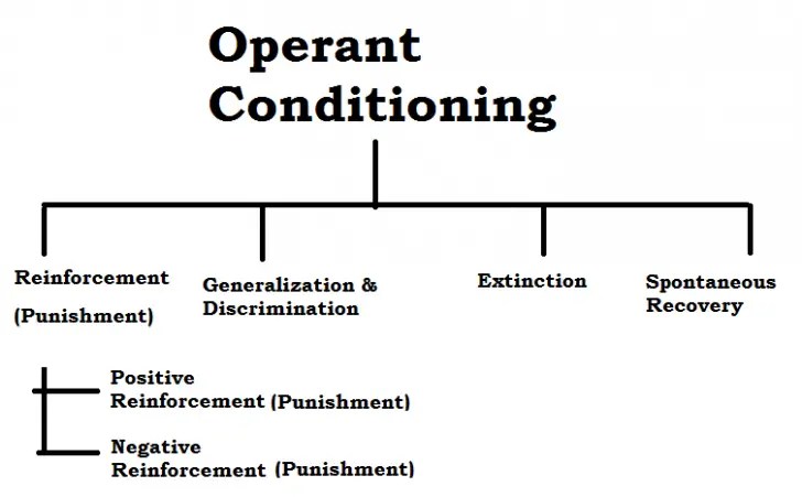 Operant Conditioning Definition And Concepts Psychestudy
