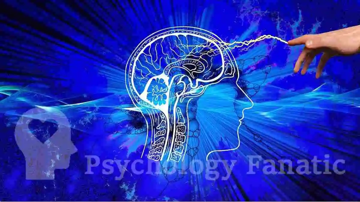 Home Psychology Fanatic