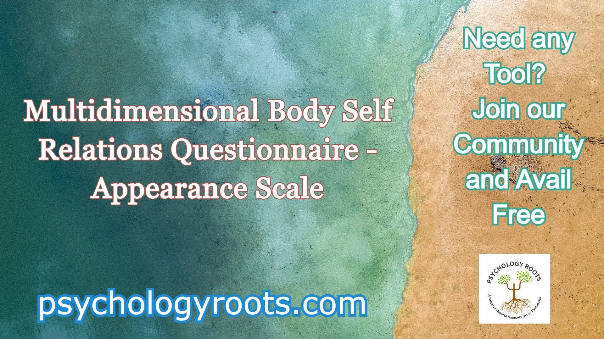 Multidimensional Body Self Relations Questionnaire Appearance Scale