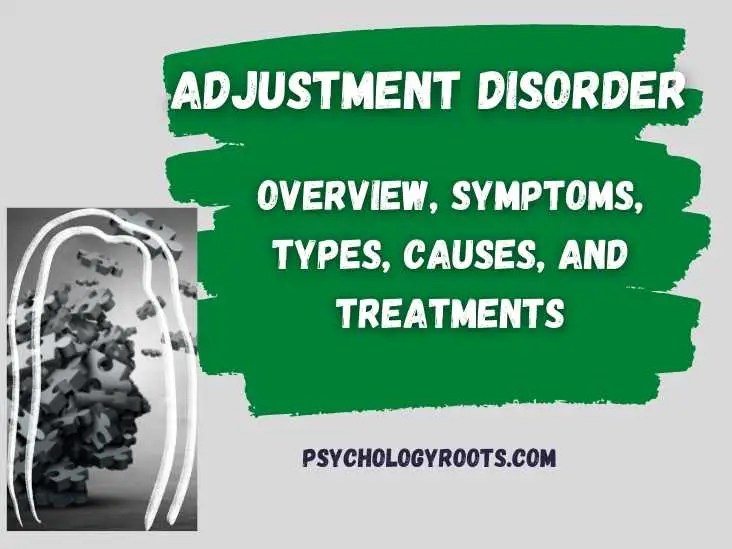 Adjustment Disorder Overview, Symptoms, Types, Causes, And Treatments