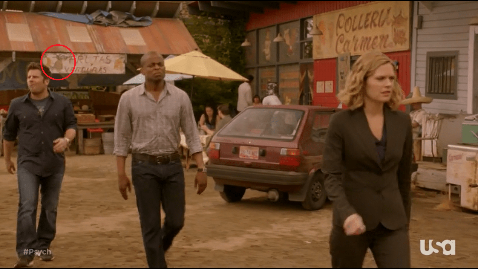 Pilot Episode 1 Psych Pineapple