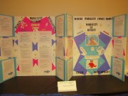 Psychological Science Fair