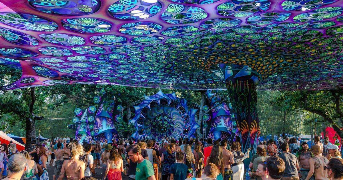 eden festival 2023 cape town Cape Town Music Festivals With A Camping Experience