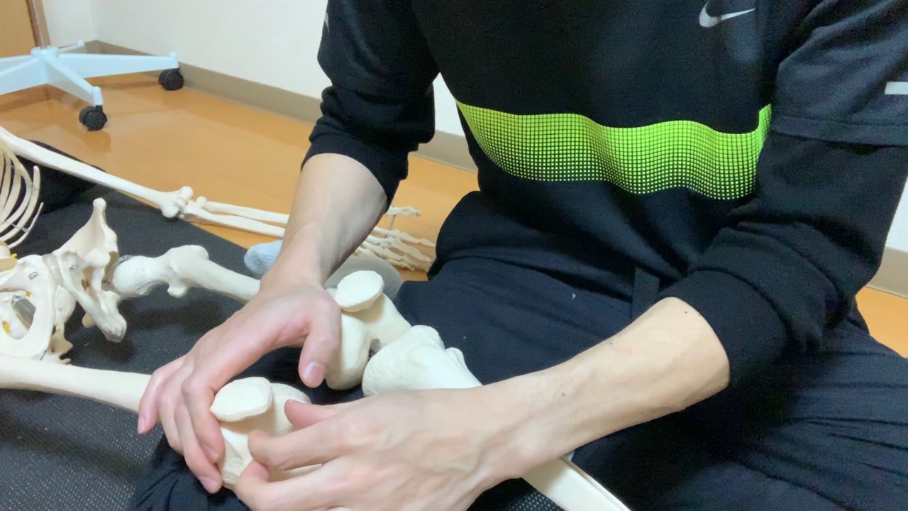 【動画解説付き】膝関節屈曲制限に関わる膝蓋下脂肪体の評価、治療・リリース方法！ MIYOYU BLOG