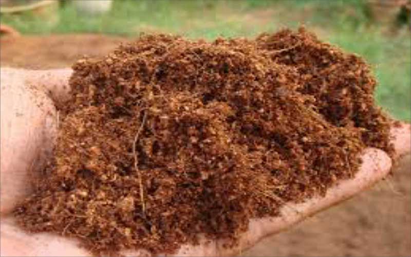 Coco Peat PT Starindo Anugerah Abadi