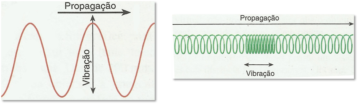 explique a diferença entre a uma onda transversal uma onda longitudinal