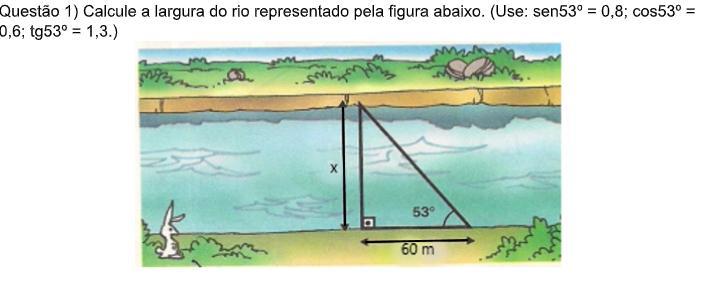 Calcule a largura do rio representado pela figura abaixo. (Use sen53o