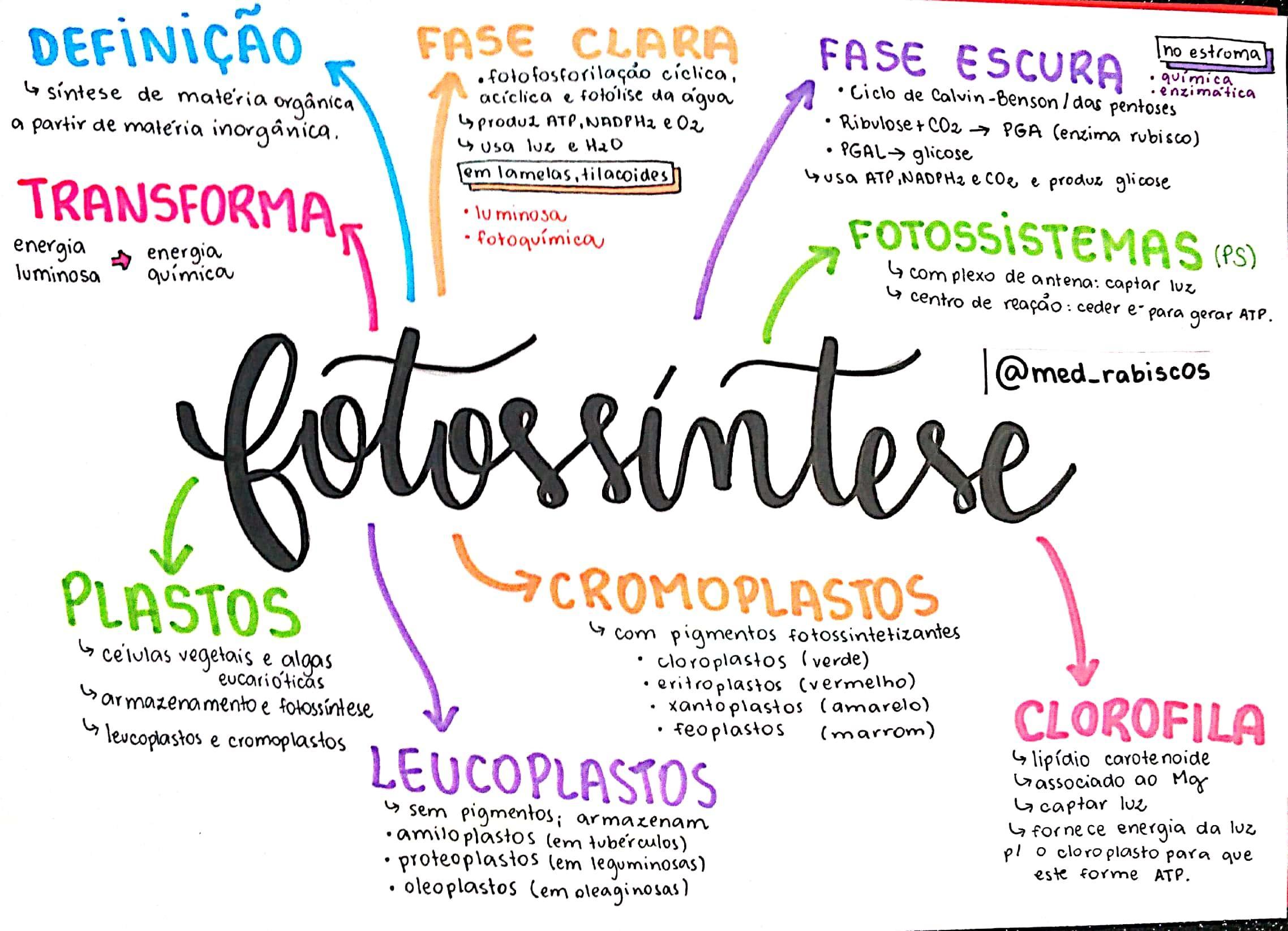 construa um mapa mental sobre Fotossíntese