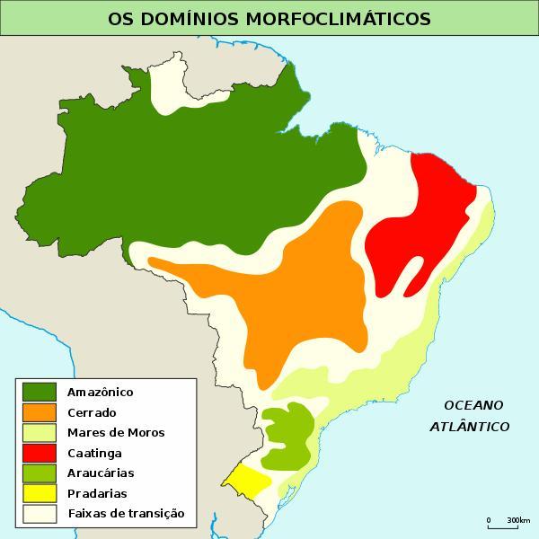por que o Agreste e o MeioNorte sao considerados faixas de transição