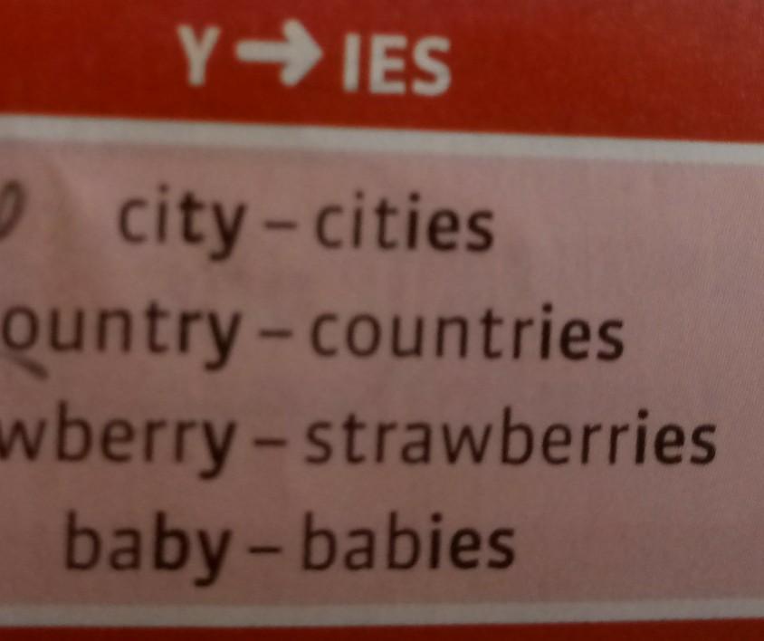 qual é o plural das palavras party, tray e toy?