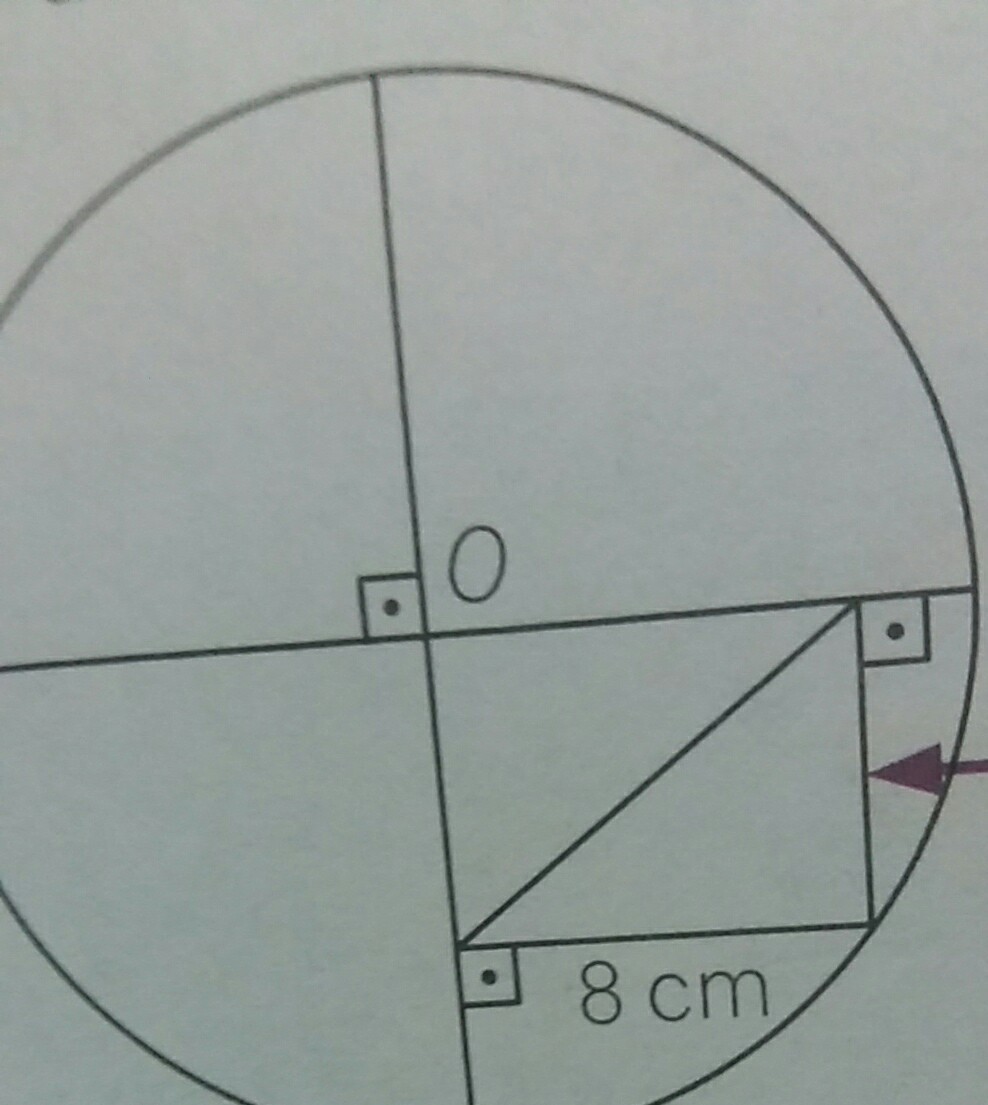 qual é o diâmetro da circunferência? 6 cm 8 cm Brainly
