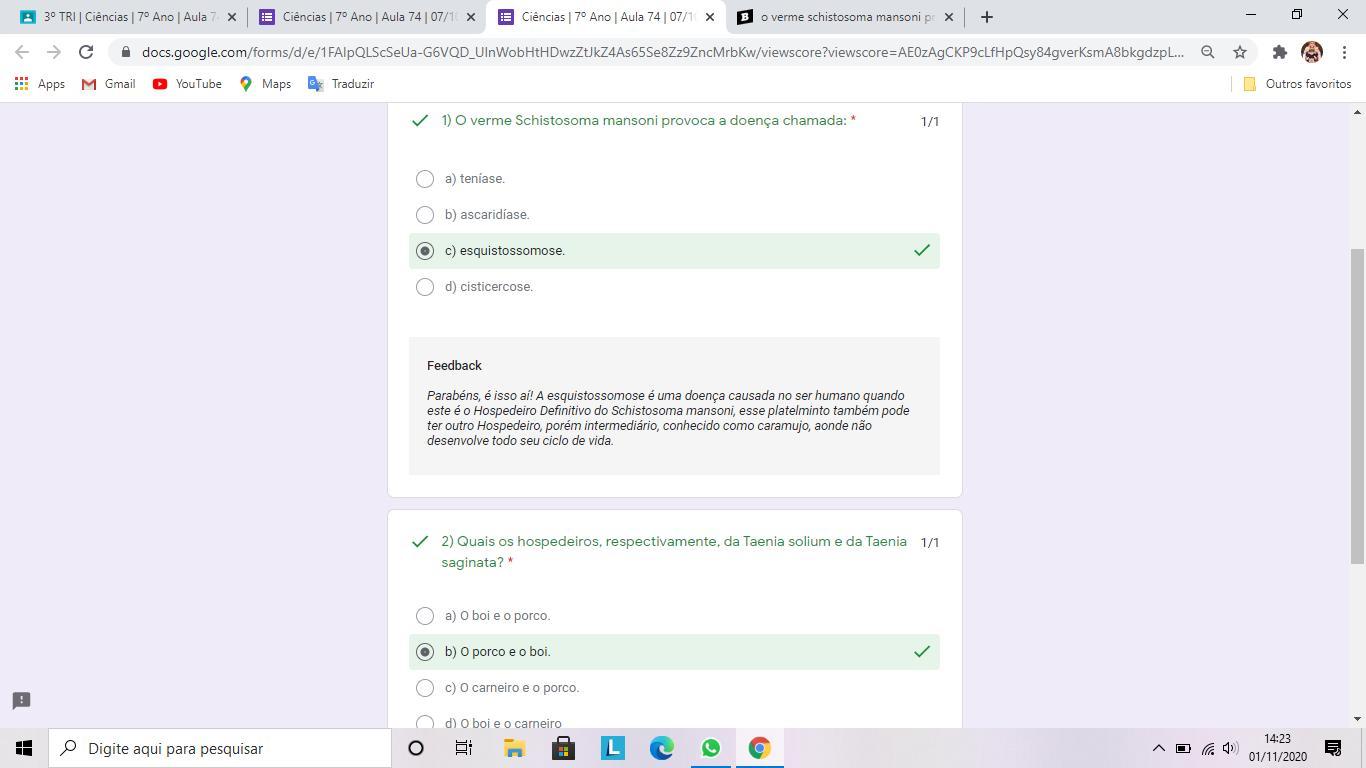 o verme schistosoma mansoni provoca a doença chamada * 1