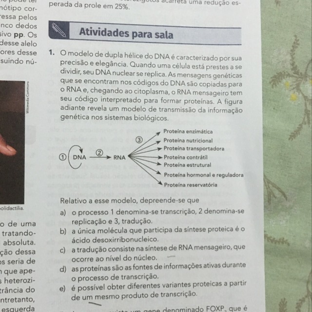 Pergunta sobre DNA e RNA