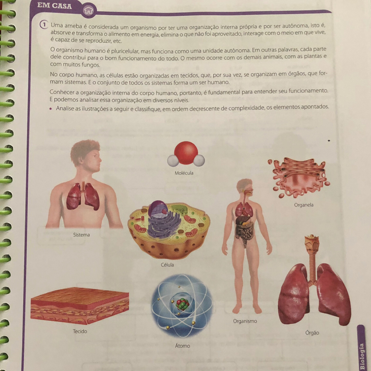 Qual é o nível de organização dos nutrientes? Analise as