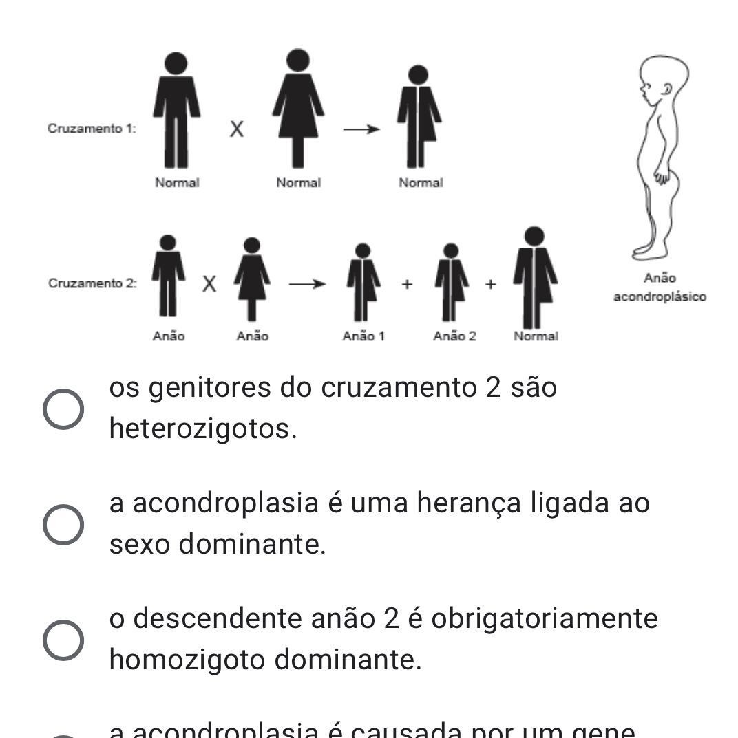 (50 pontos Foto) A acondroplasia é uma disfunção genética