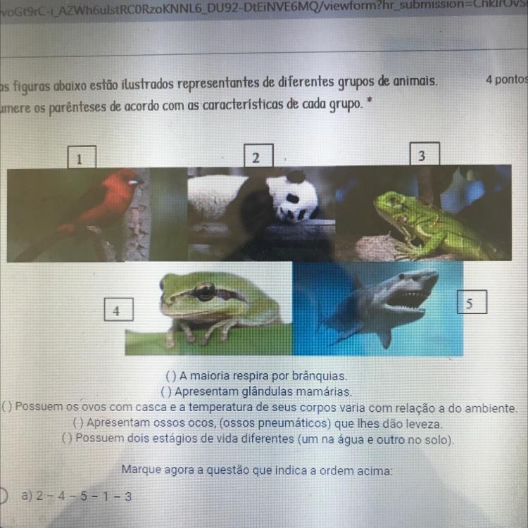 Nas figuras abaixo estão ilustrados representantes de