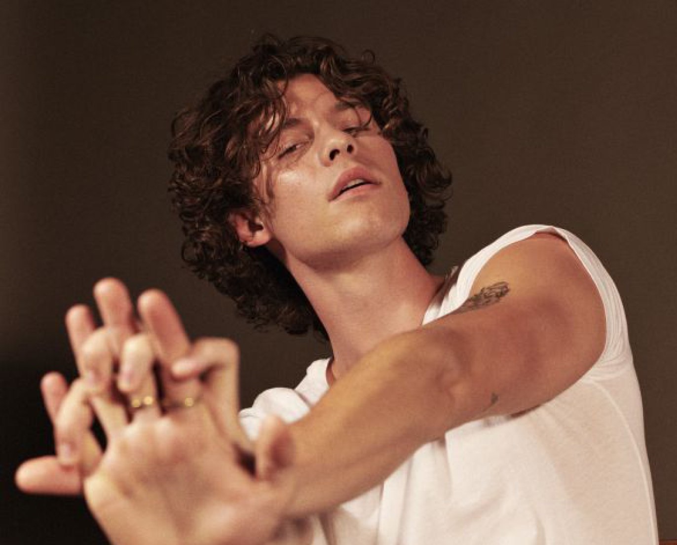 Shawn Mendes Altura Peso Medidas corporais Cor dos olhos