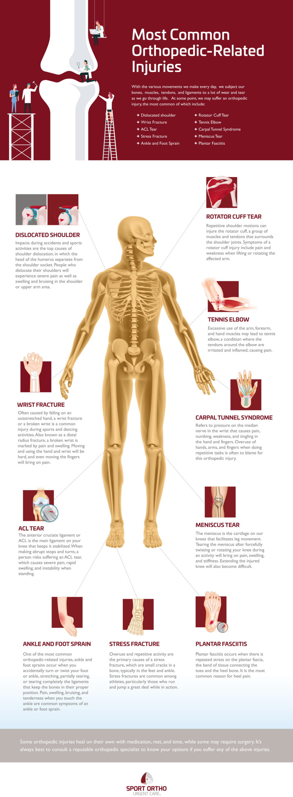 Most Common OrthopedicRelated Injuries PTandMe