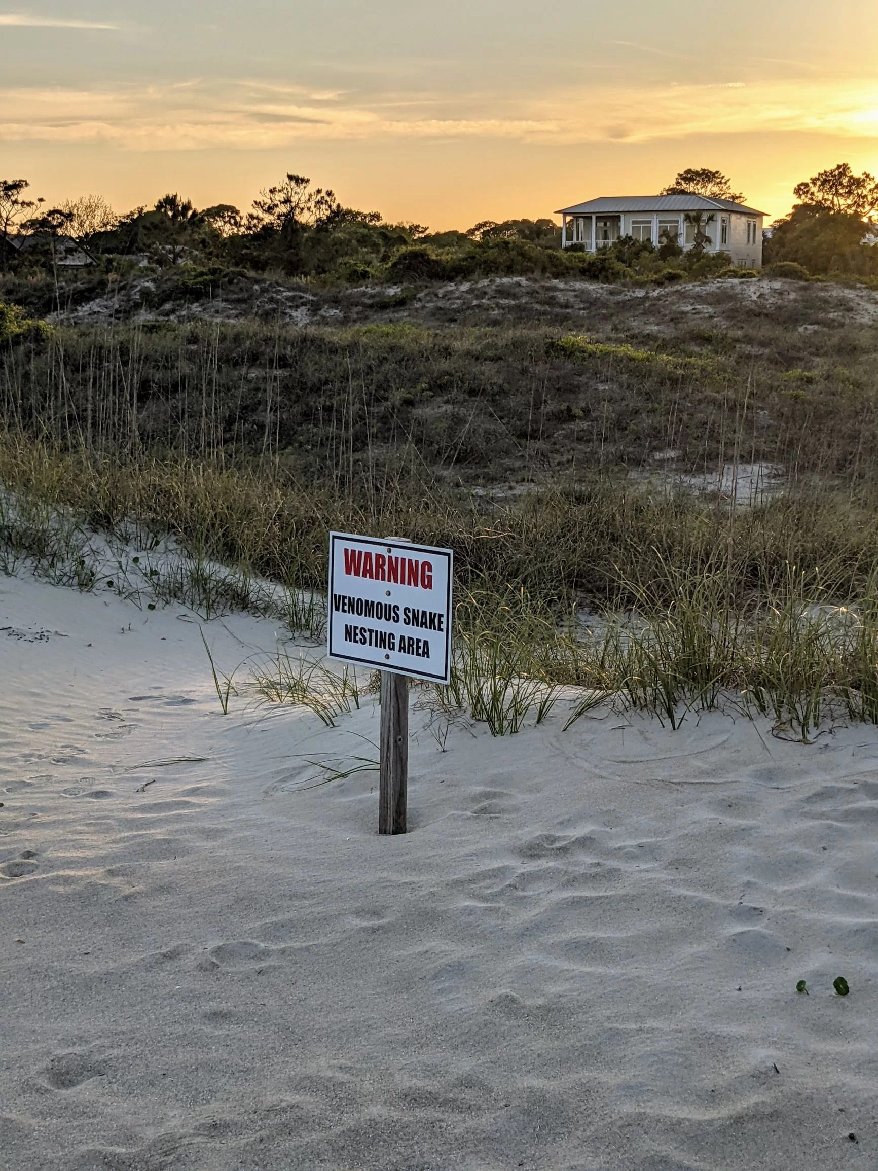 Mindfulness on Tybee Island Planes Terrains & Avocados