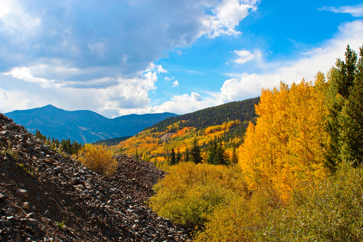 Breckenridge Paffrath & Thomas Real Estate