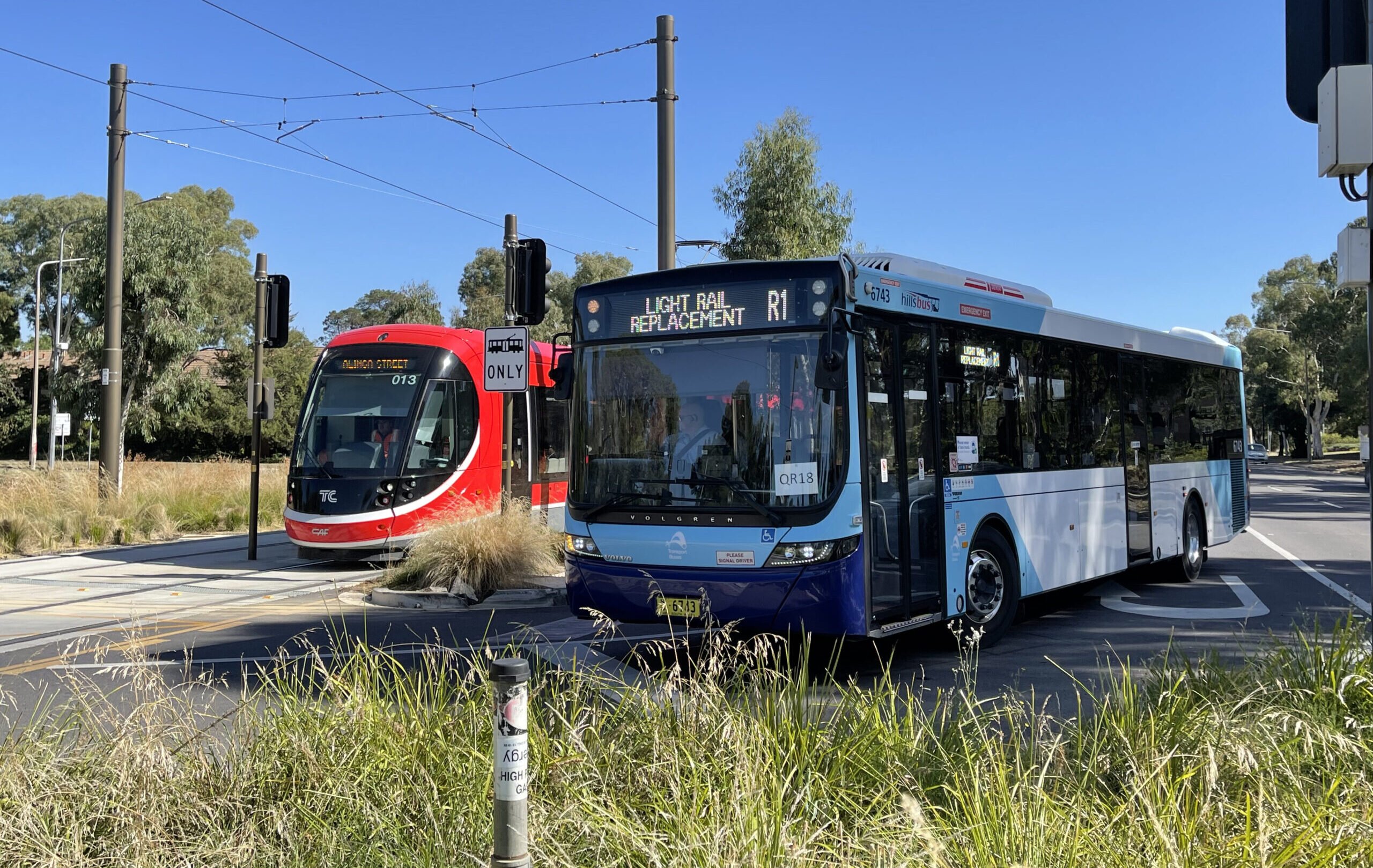 What We Do Public Transport Association of Canberra