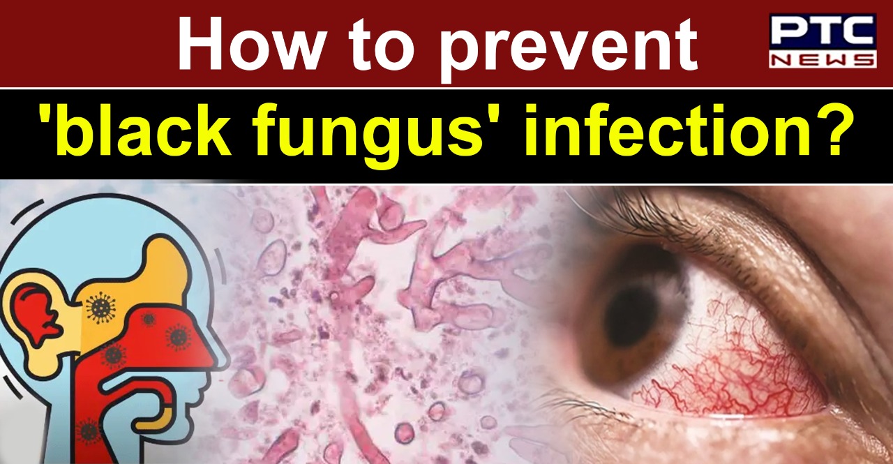 Web how can you prevent a mucor infection? Web early testing for fungal infections reduces unnecessary antibiotic use and allows people to start treatment with antifungal medicine, if necessary. AIIMS director lists three key factors to prevent 'black fungus' infection
