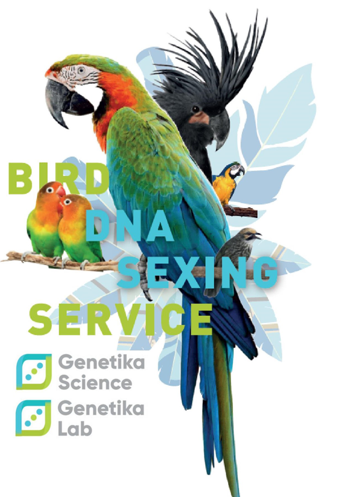 Bird DNA Sexing Services Science