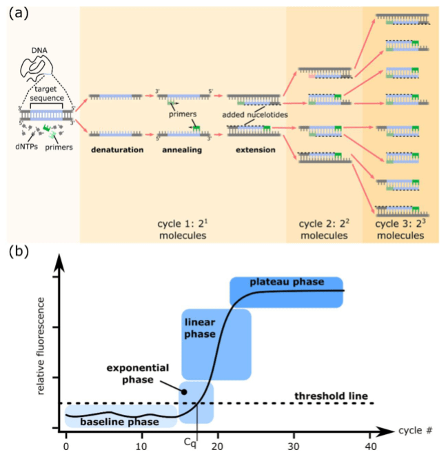 Get to Know Gene Expression Analysis Science