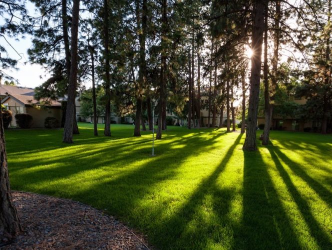 PTLA Real Estate Group Multifamily Investment & Management