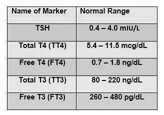 Normal Range of Thyroid Function Test - PT Master Guide
