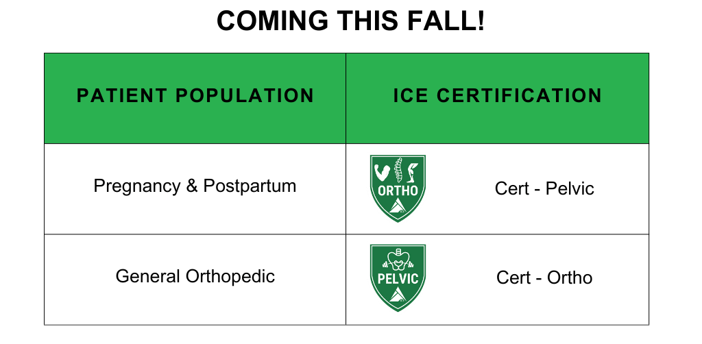Physical Therapy Certifications Institute of Clinical Excellence
