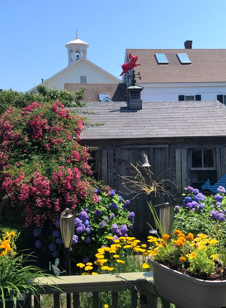 Provincetown Rentals