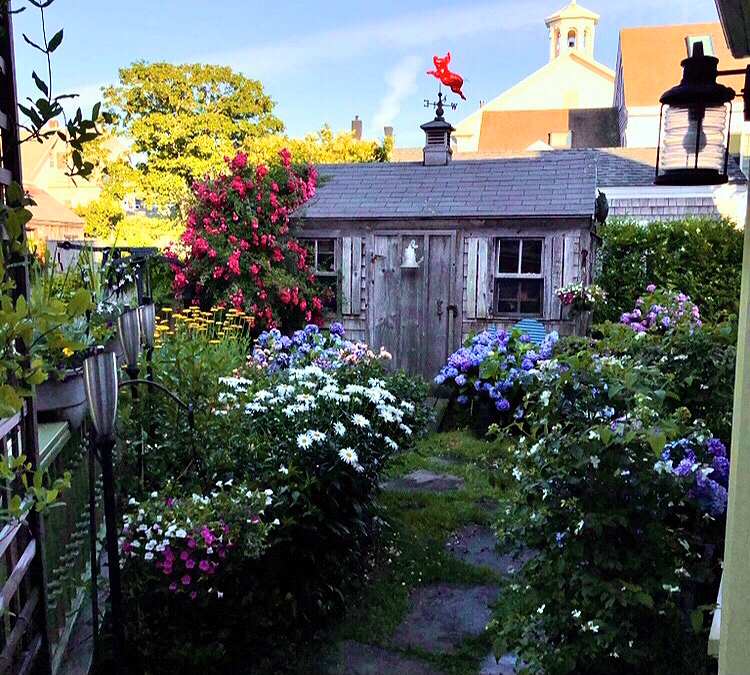 Center Room Provincetown Rentals