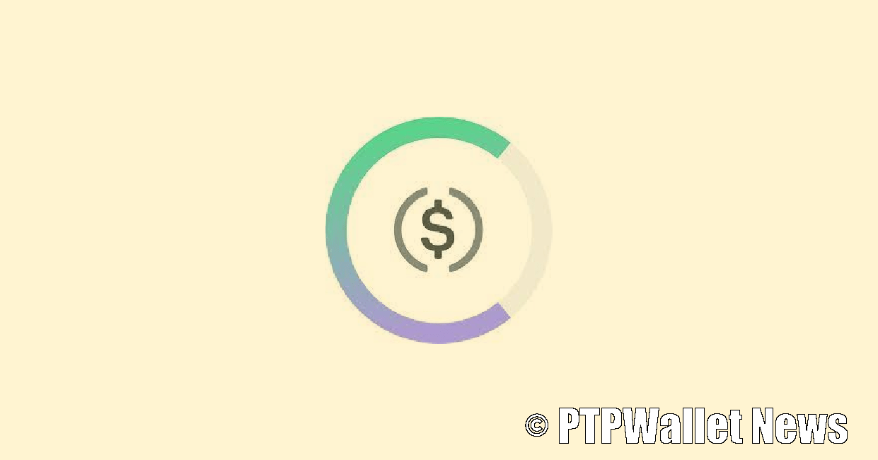 What is Compound USD Coin (CUSDC)? PTPWallet for Cryptocurrency
