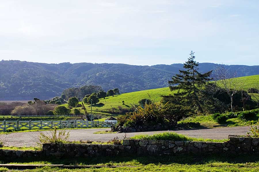 Point Reyes Vineyard Inn Point Reyes Lodging