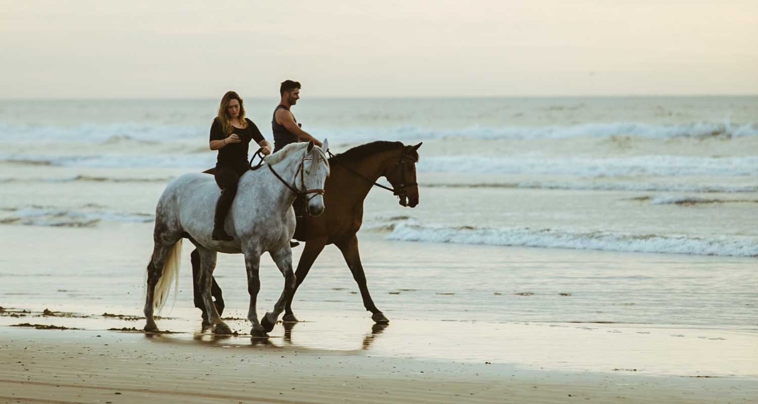 Horseback Riding Point Reyes Lodging
