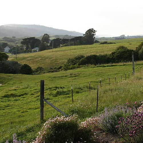 Inn at Roundstone Farm Point Reyes Lodging