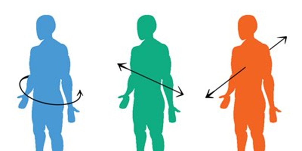 3 PLANES OF HUMAN MOVEMENT PT Skills