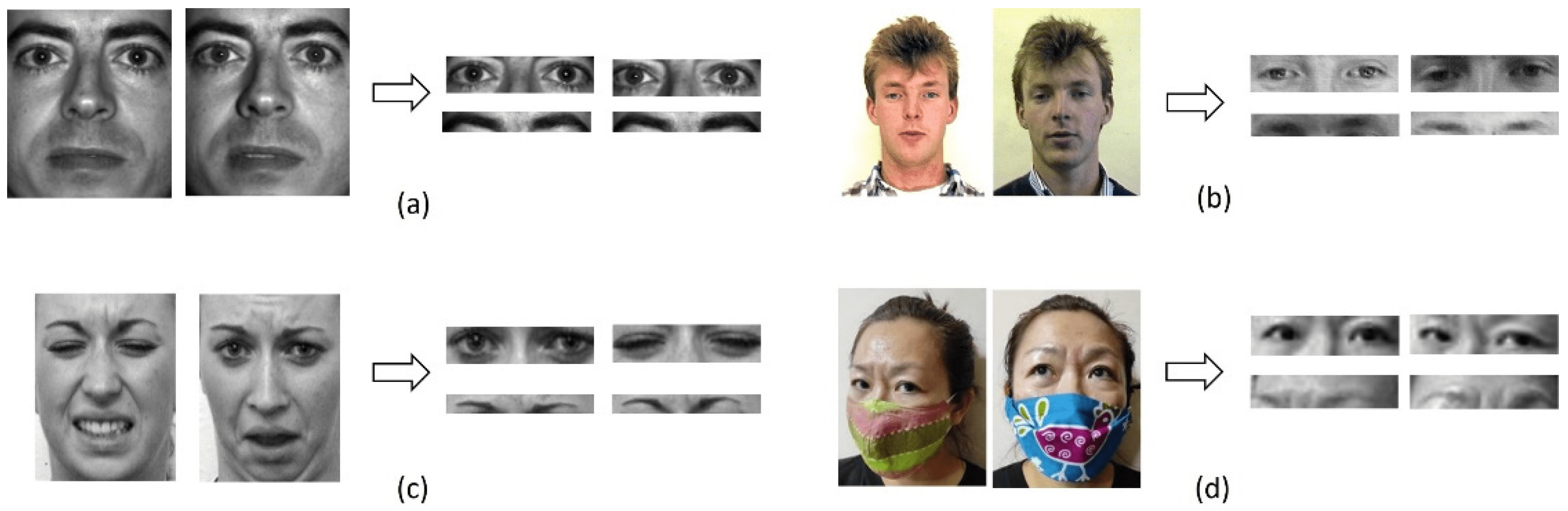 Algorithms Free FullText Eyes versus Eyebrows A Comprehensive