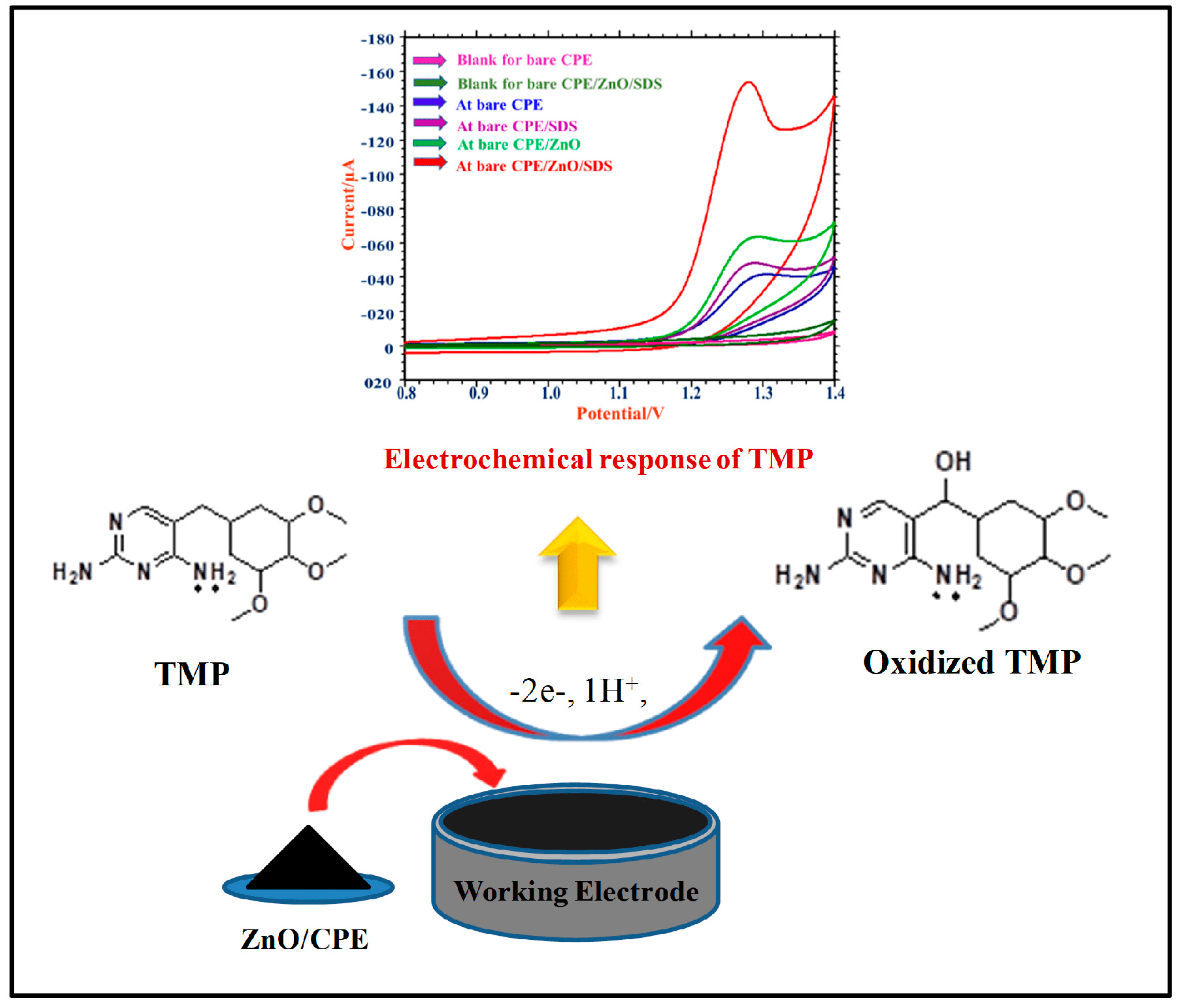 Bioengineering Free FullText Nanostructured ZnOBased