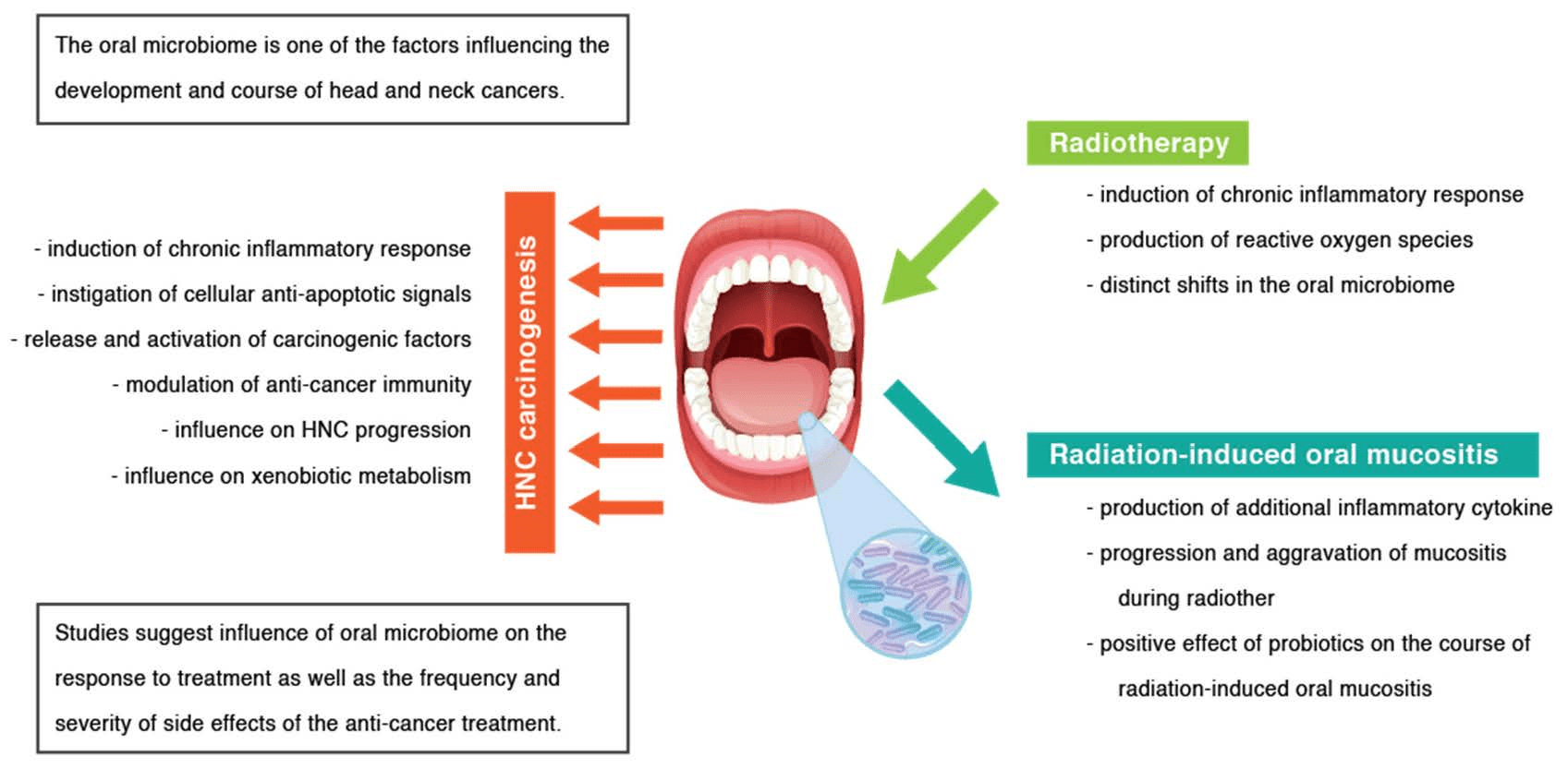 Cancers Free FullText Is There an Interplay between Oral