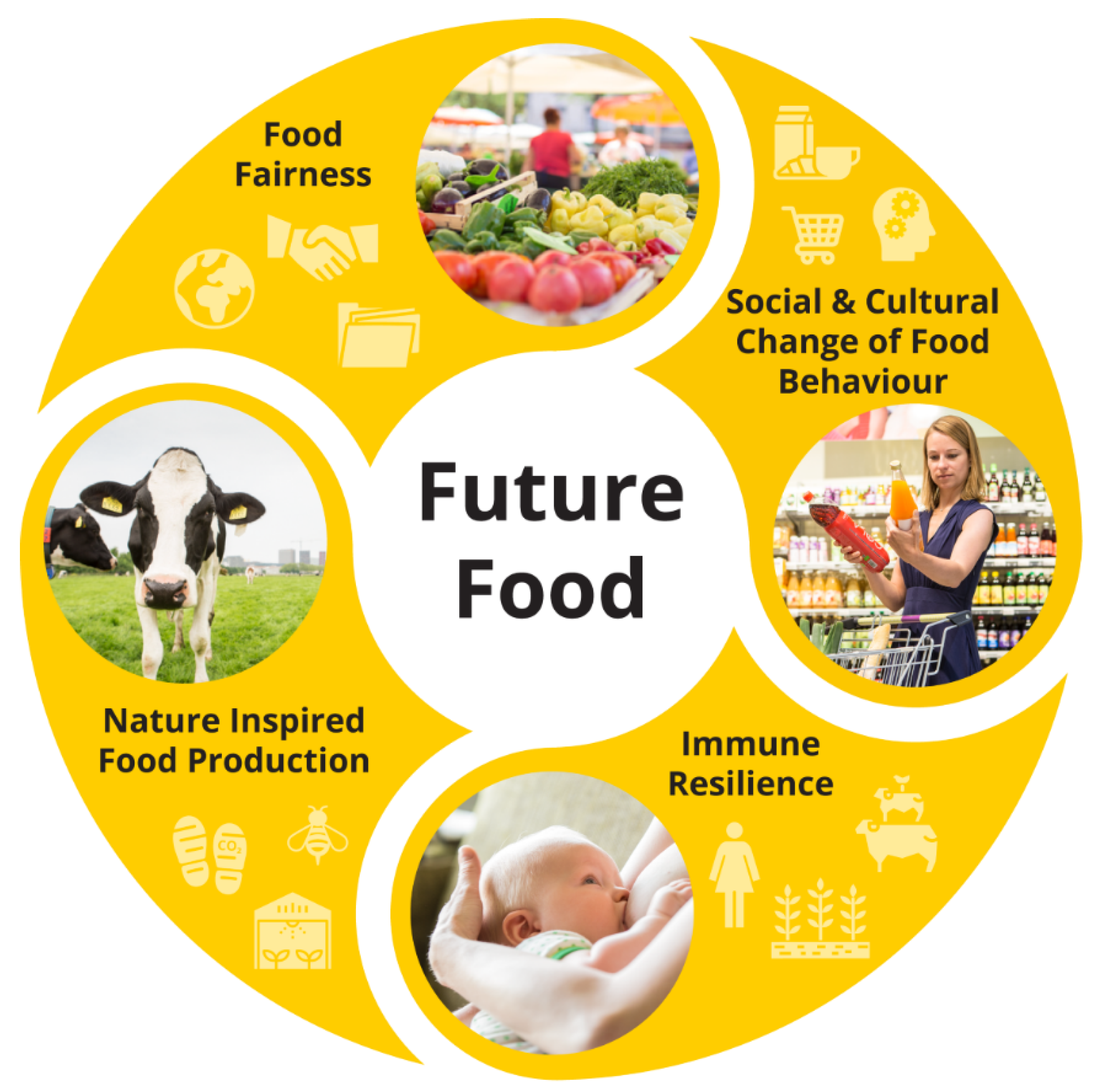 Towards Healthy Diets—A Transdisciplinary Approach to Food(04)