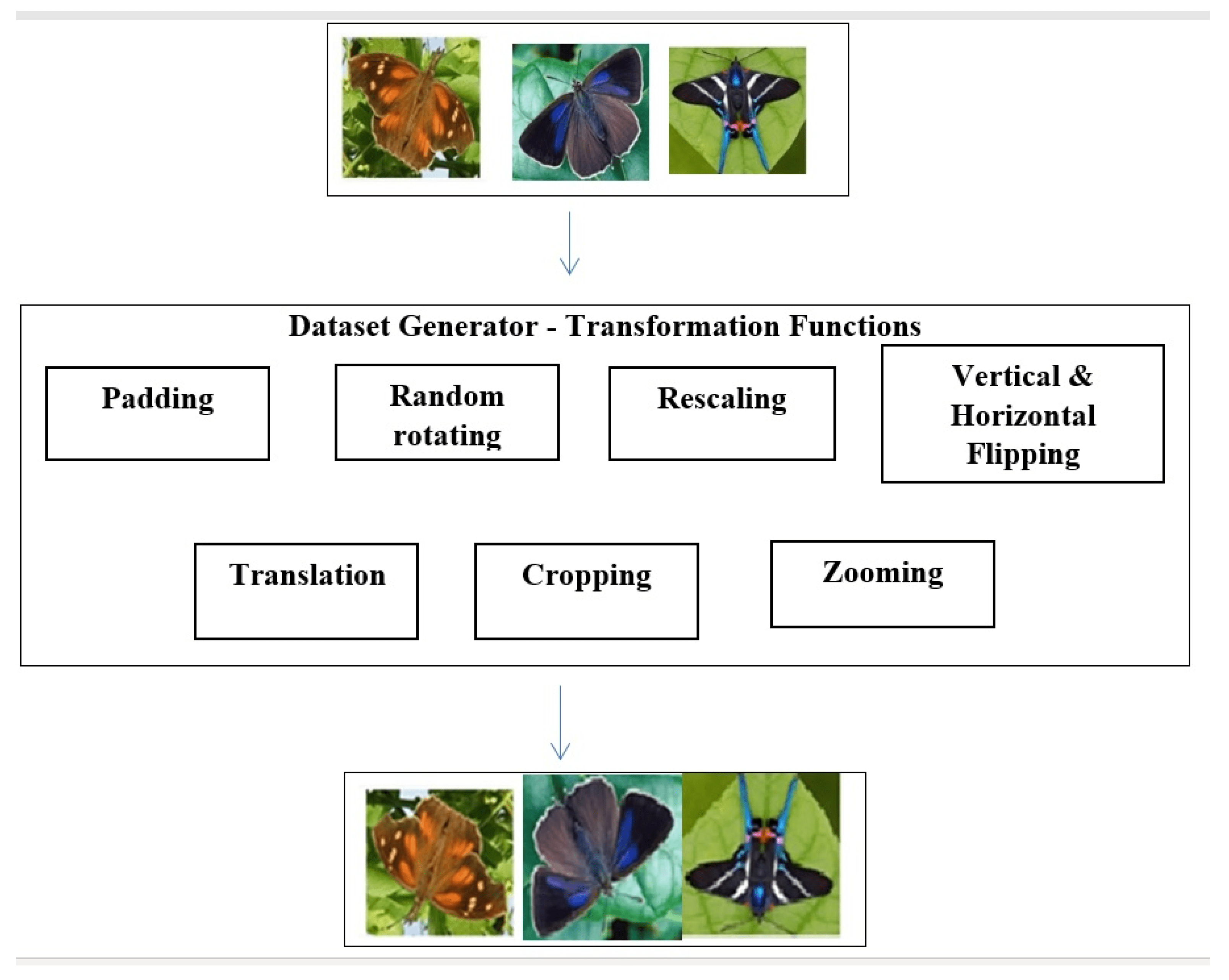 Electronics Free FullText A Novel Method for the Classification of