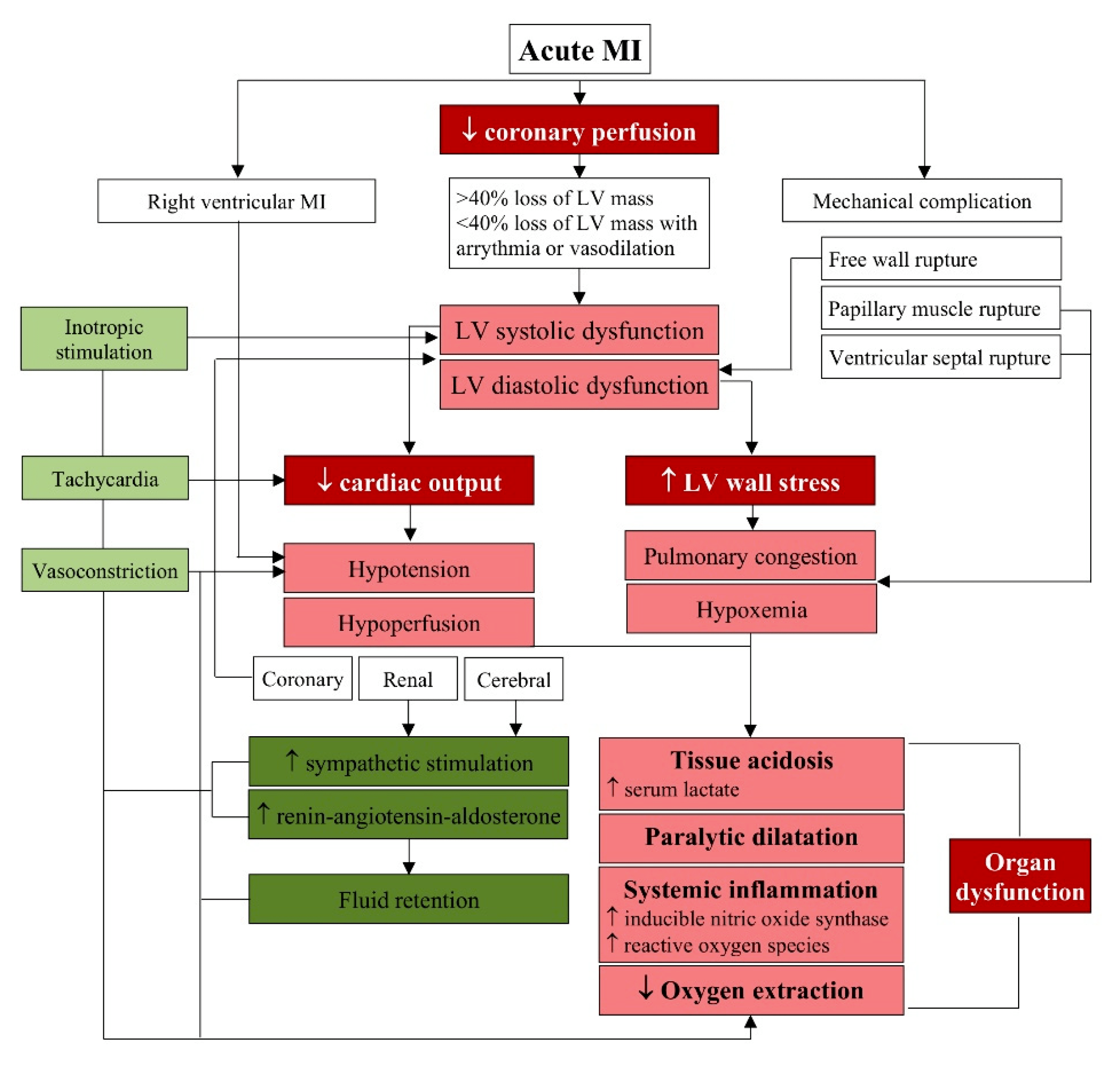 JCM Free FullText Complicating Acute Myocardial Infarction